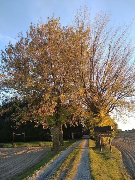 Agroturystyka Pod Swierkami Nadrybie Exterior photo